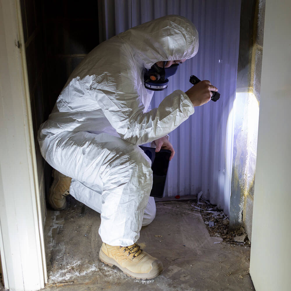 Asbestos Management Surveys (2)