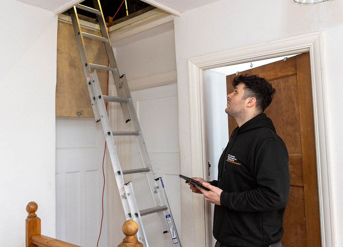 Asbestos-demolition-survey-(4)